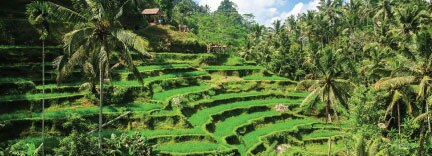 Ubud