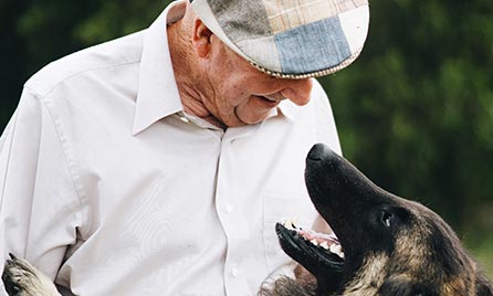 Dr. Harry and Dog Image 