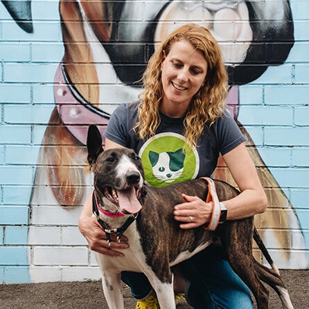 How Everyday and PetRescue are changing pet’s lives